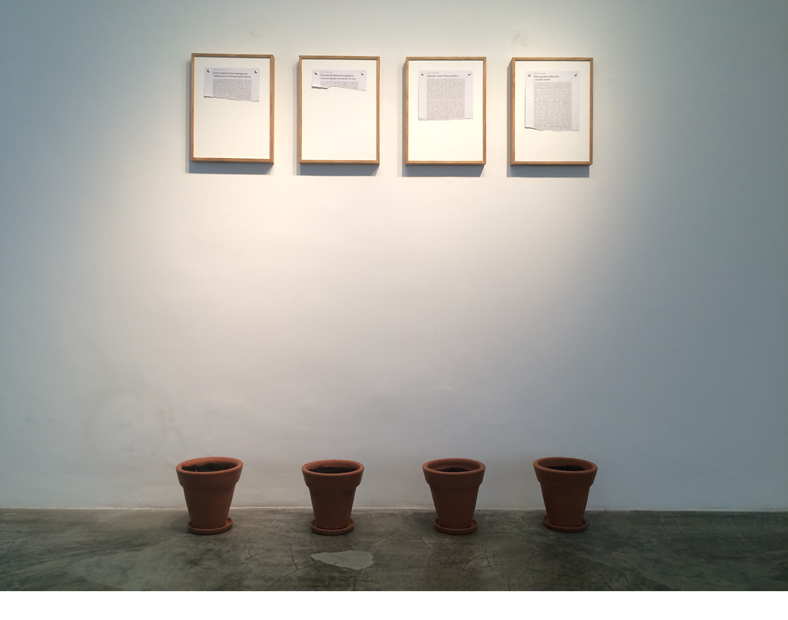 IVAN-GRILO-Feed-2016-Impressao-a-base-dagua-sementes-rucula-tomate-cenoura-manjericao-madeira-vasos